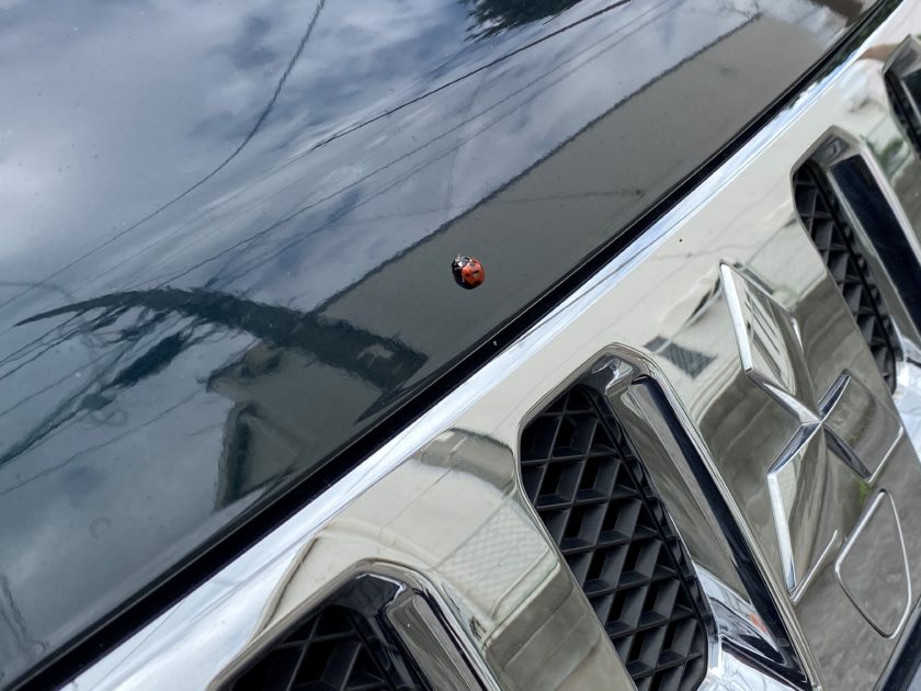 三菱自動車 ディーゼル車の開発中止 デリカd 5 ジャスパーを乗りまくるブログ