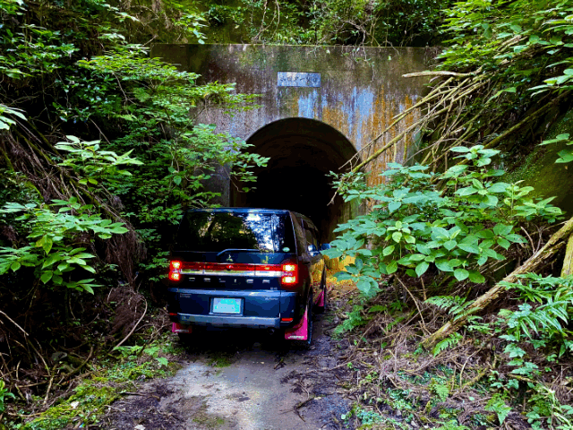 久しぶりに激狭林道。とりあえずで行った林道が廃道でびっくり最後にヌーっと古いトンネルが現れた。#林道 #廃道 #トンネル #デリカd5 #delicad5 #d5jasper #forestroad #mountainroad #oldtunnel
