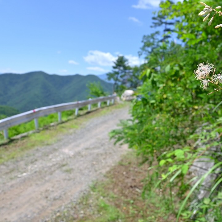 林道金ヶ岳線全線ダートで、ずいぶん奥まで行けたけど工事作業中で引き返し#林道散策 #デリカd5 #三菱自動車で行こう #delicad5 #4x4life #forestroad #d5jasper #mitsubishimotors